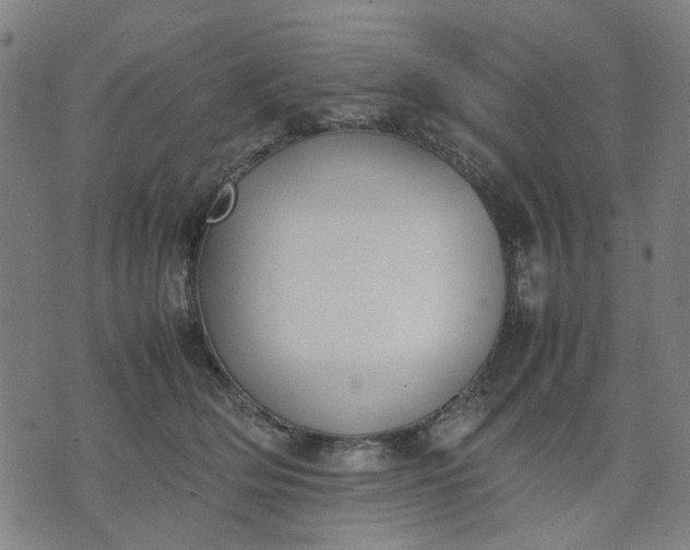 X0000074230514200609081624