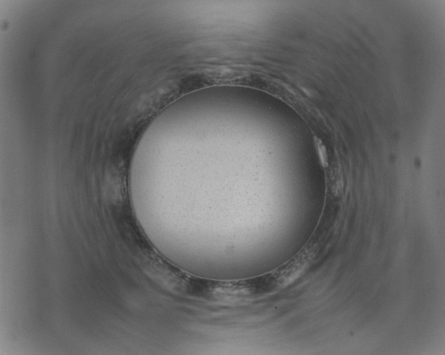 X0000074230515200609081624