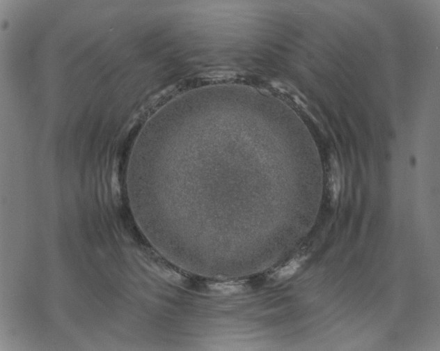 X0000074230516200609081624