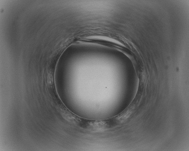 X0000074230517200609081624