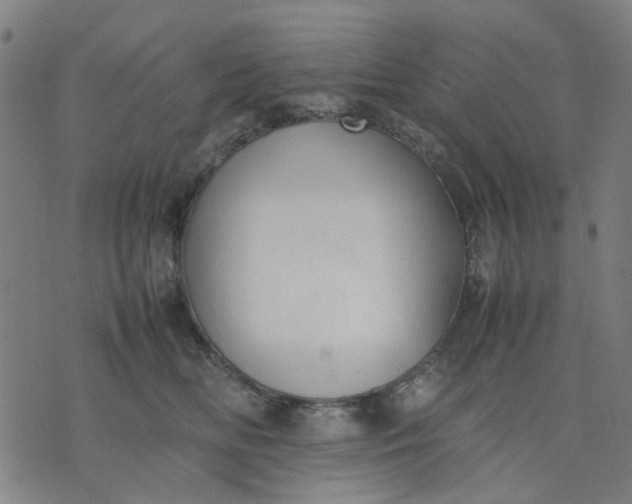 X0000074230518200609081624