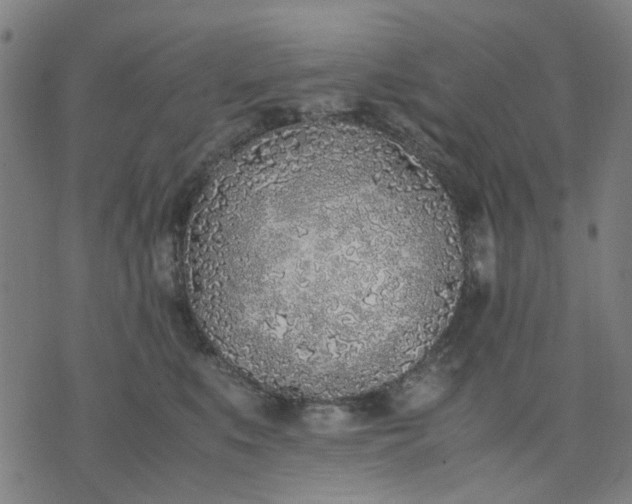 X0000074230519200609081624