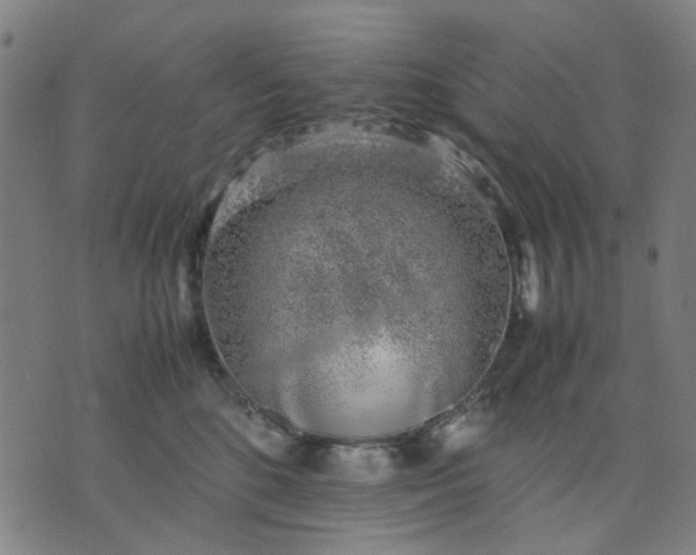 X0000074230520200609081624