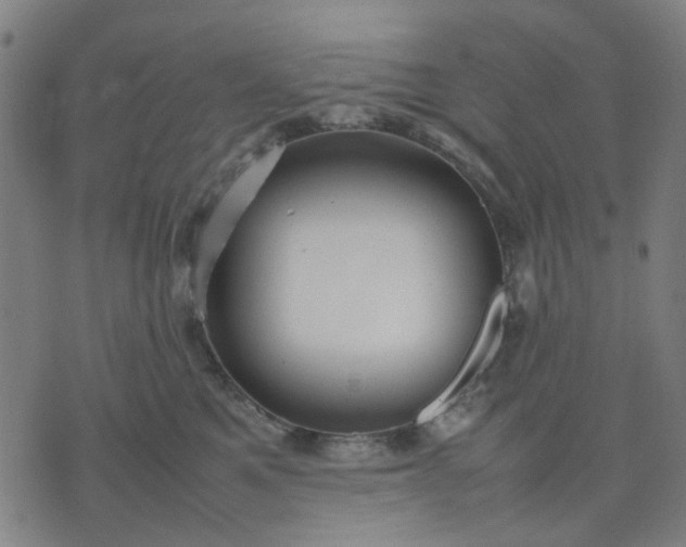 X0000074230521200609081624