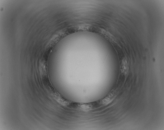 X0000074230522200609081624