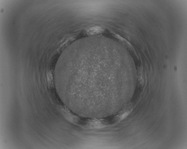 X0000074230523200609081624