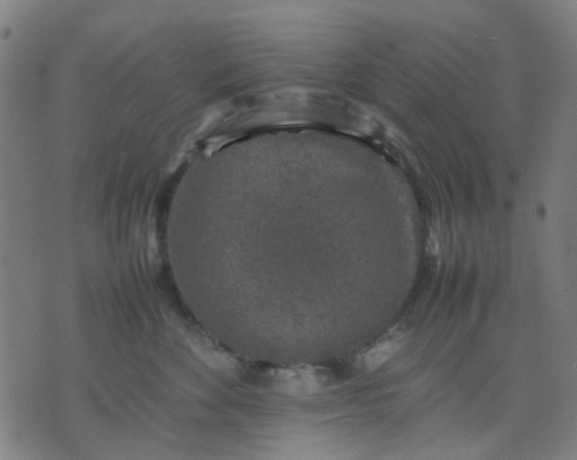 X0000074230524200609081624