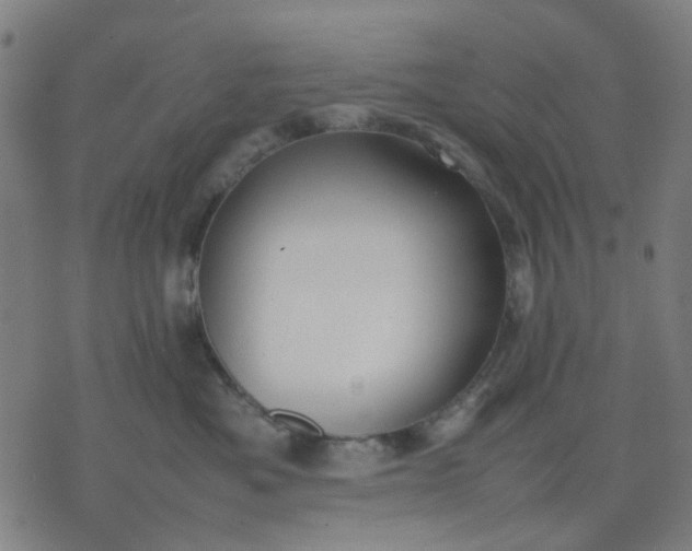 X0000074230525200609081624