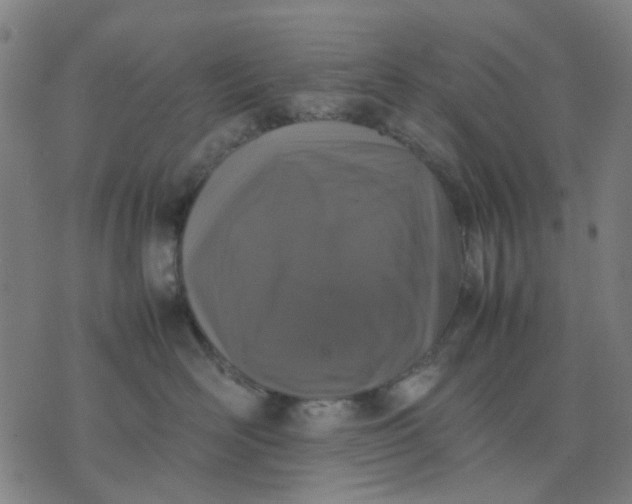 X0000074230526200609081624