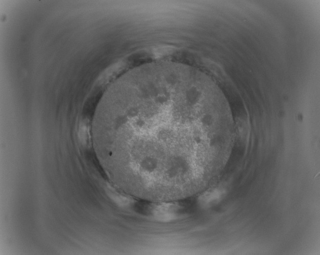 X0000074230527200609081624