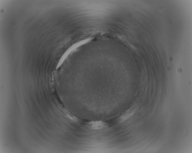 X0000074230528200609081624