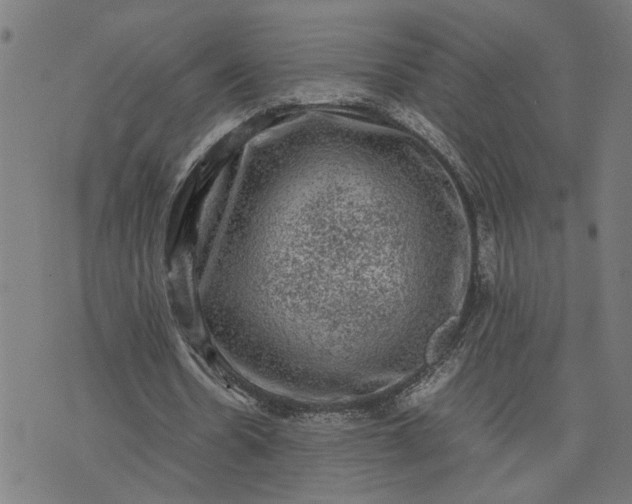 X0000074230530200609081623