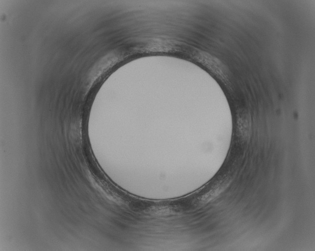 X0000074230534200609081623