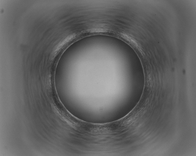 X0000074230535200609081623