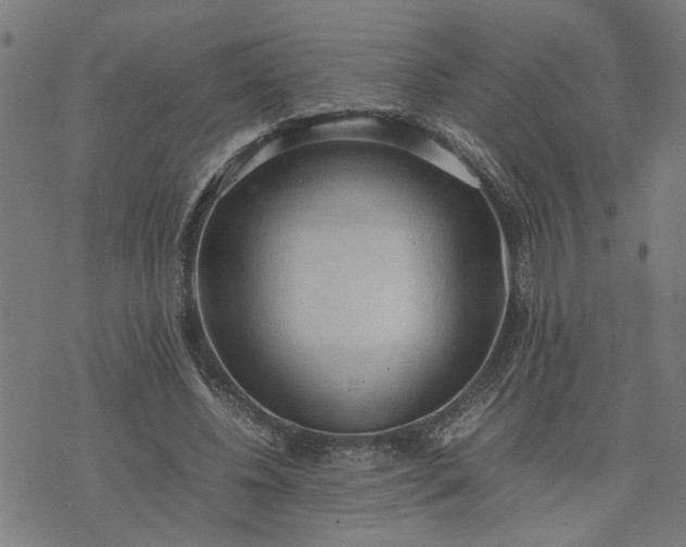 X0000074230540200609081623