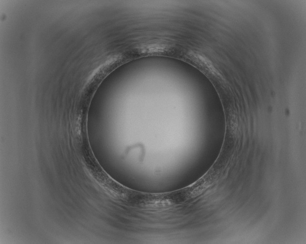 X0000074230543200609081623