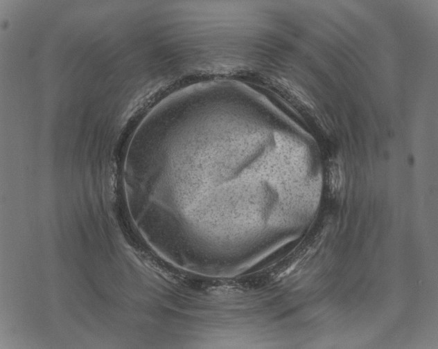 X0000074230544200609081623