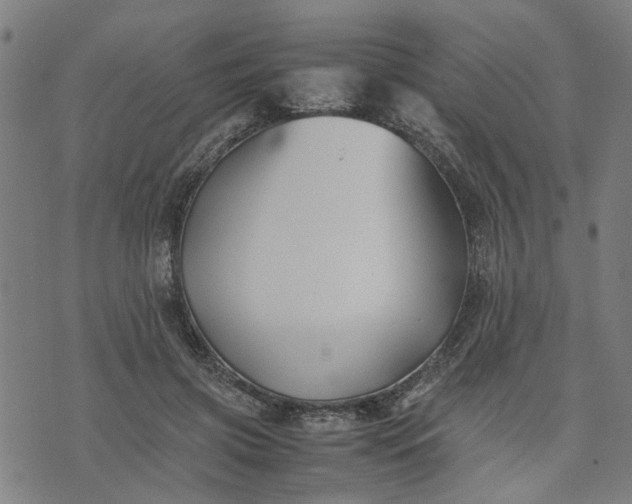 X0000074230549200609081623