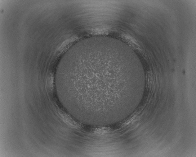 X0000074230550200609081624