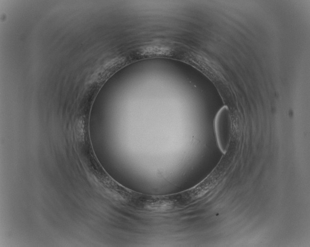 X0000074230551200609081624