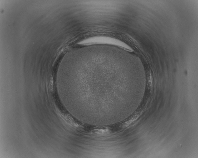 X0000074230552200609081624