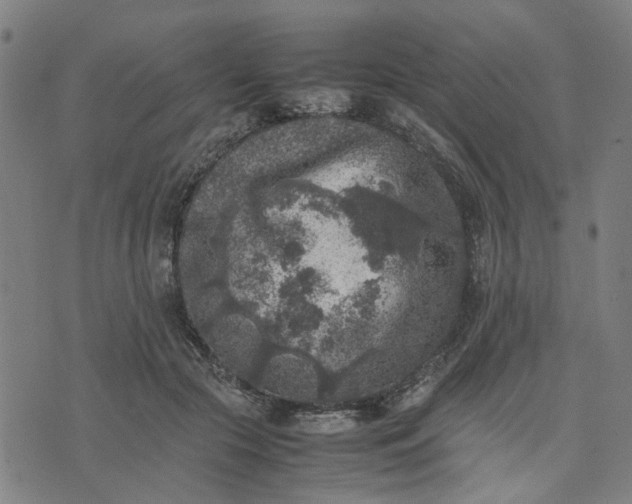 X0000074230553200609081624