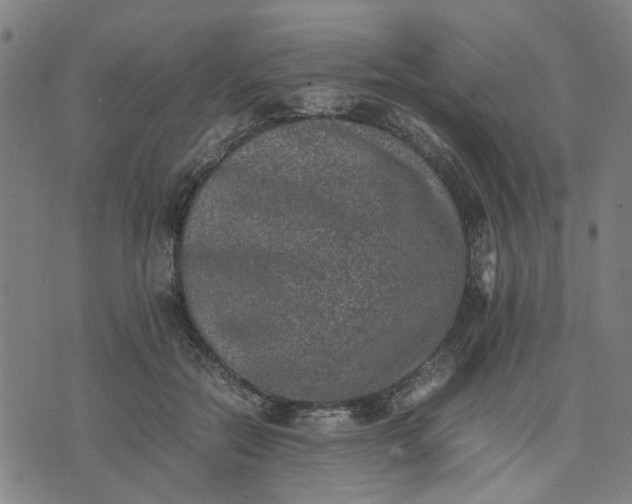 X0000074230554200609081624