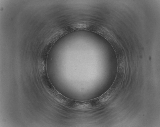 X0000074230555200609081624