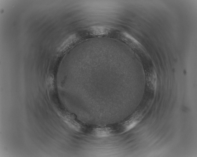 X0000074230556200609081624