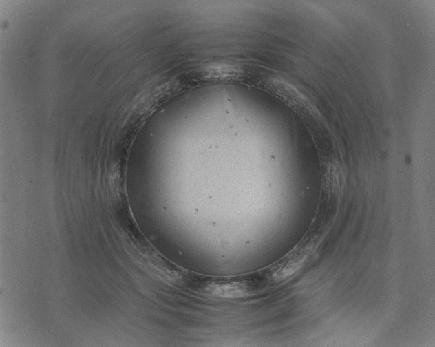 X0000074230557200609081624