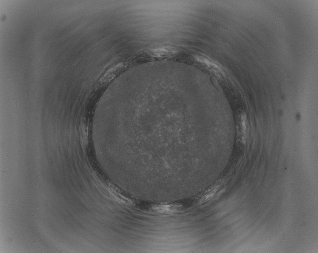 X0000074230558200609081624