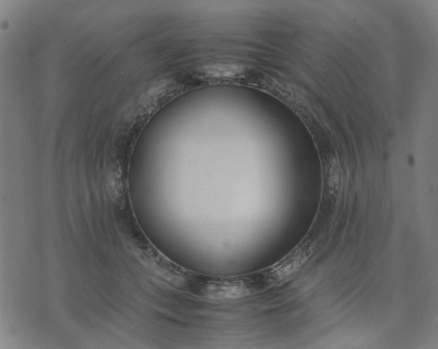 X0000074230559200609081624