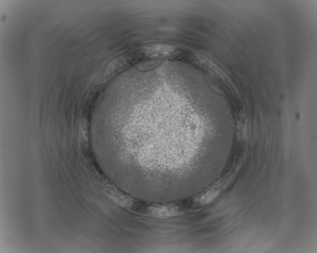 X0000074230561200609081624