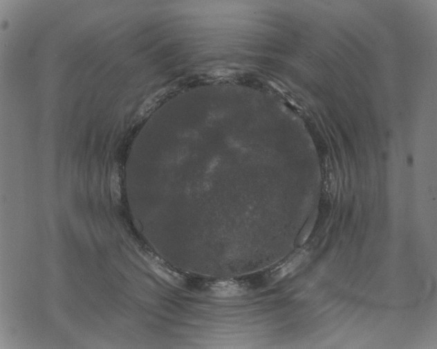 X0000074230562200609081624