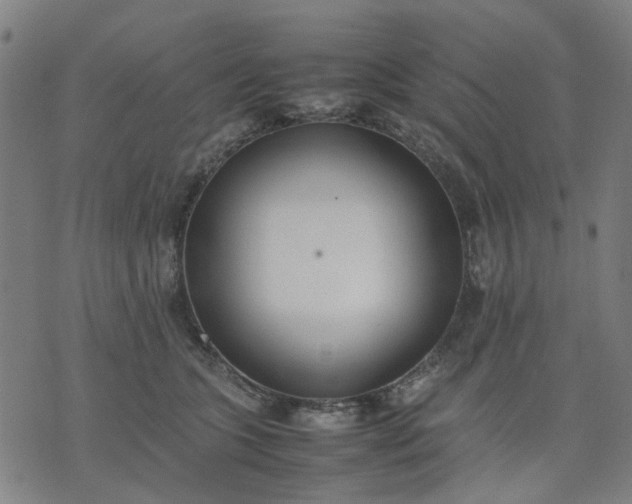 X0000074230563200609081624