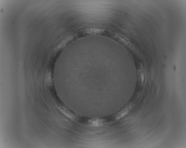 X0000074230564200609081624