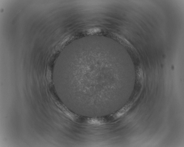 X0000074230565200609081624