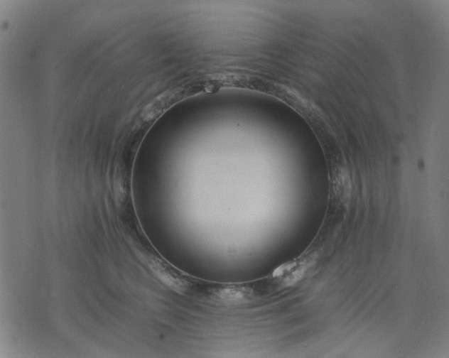 X0000074230566200609081624