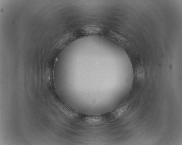 X0000074230567200609081624