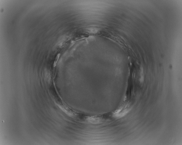 X0000074230568200609081624