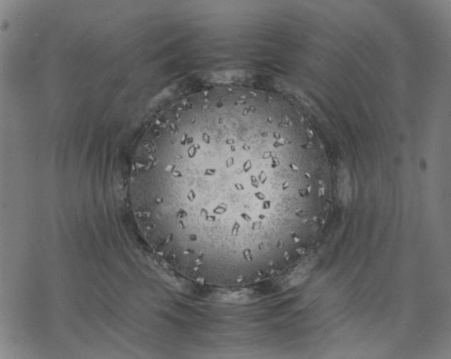 X0000074230569200609081624