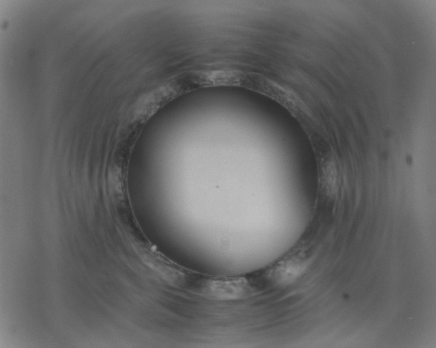 X0000074230571200609081624