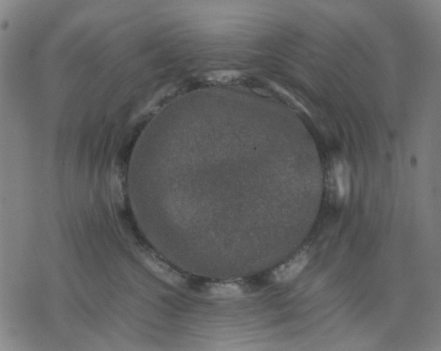 X0000074230572200609081624