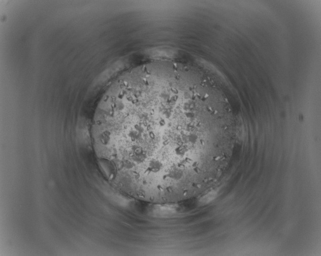 X0000074230573200609081624