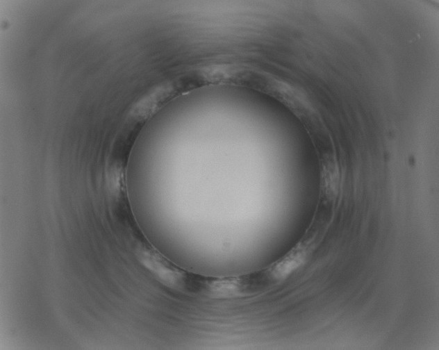 X0000074230574200609081624