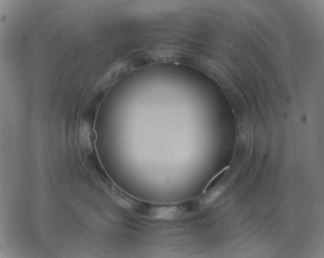 X0000074230575200609081624