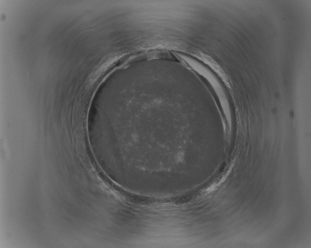 X0000074230577200609081623