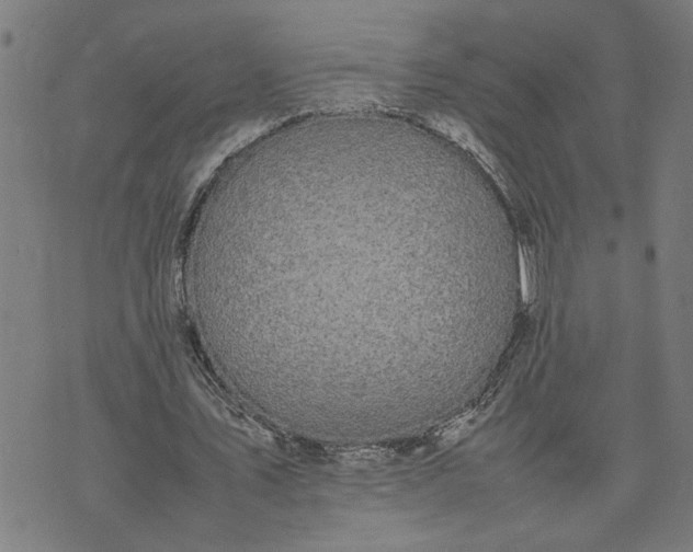 X0000074230579200609081623