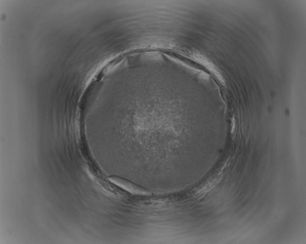 X0000074230580200609081623