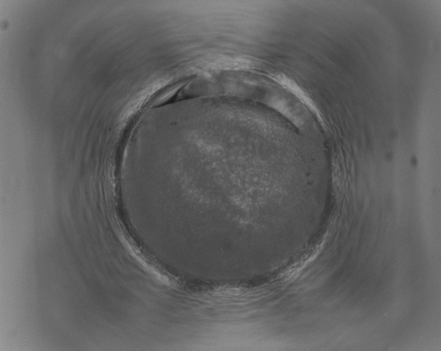 X0000074230581200609081623